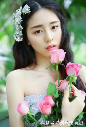 执法者们电视剧观看